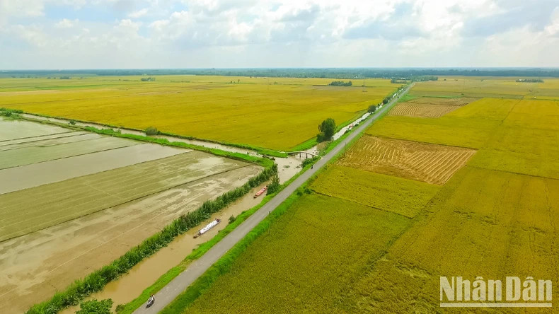 The inland irrigation system has been strengthened to serve the specialised rice growing areas.