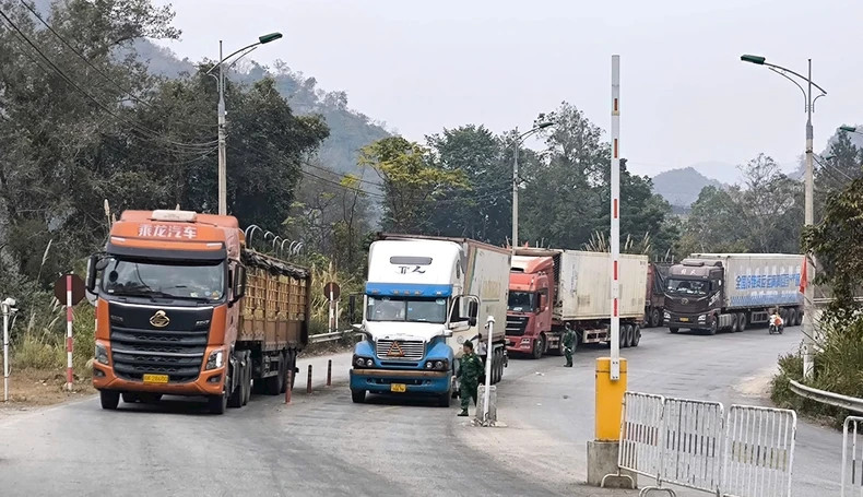 Vehicles carry agricultural products preparing for export via the dedicated road transporting goods through Tan Thanh and Van Lang border gates, Lang Son Province. Vehicles carry agricultural products preparing for export via the dedicated road transporting goods through Tan Thanh and Van Lang border gates, Lang Son Province.