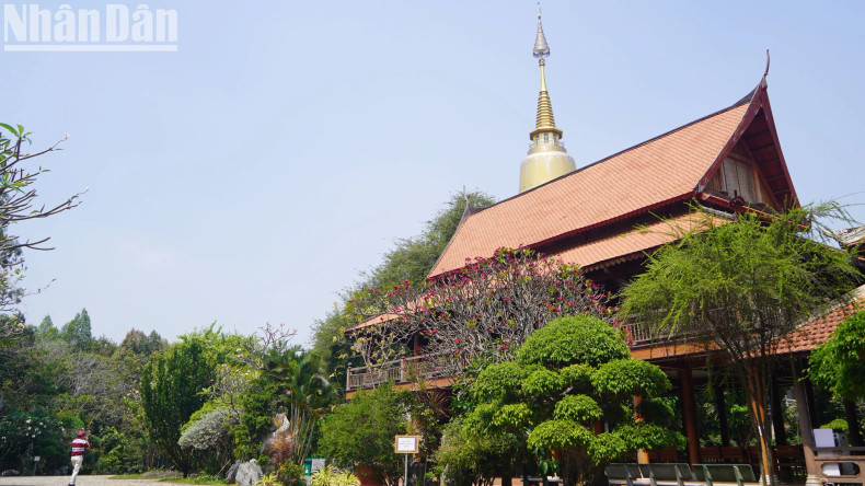 Visitors can admire the green campus below and the peaceful scenery of the city’s suburbs. Visitors can admire the green campus below and the peaceful scenery of the city’s suburbs.