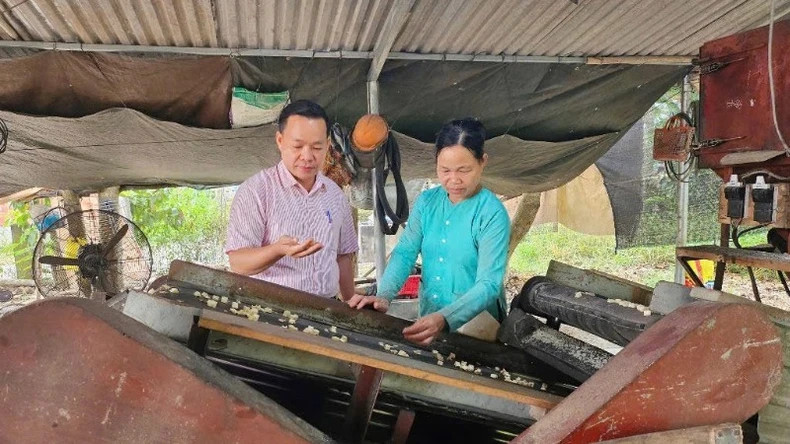 Policy credit officers always stay close to the grassroots, working closely with poor households to guide them in borrowing and using capital effectively.