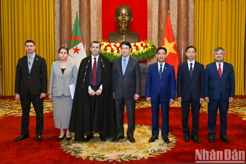 [In Pictures] State President welcomes new foreign ambassadors ảnh 6
