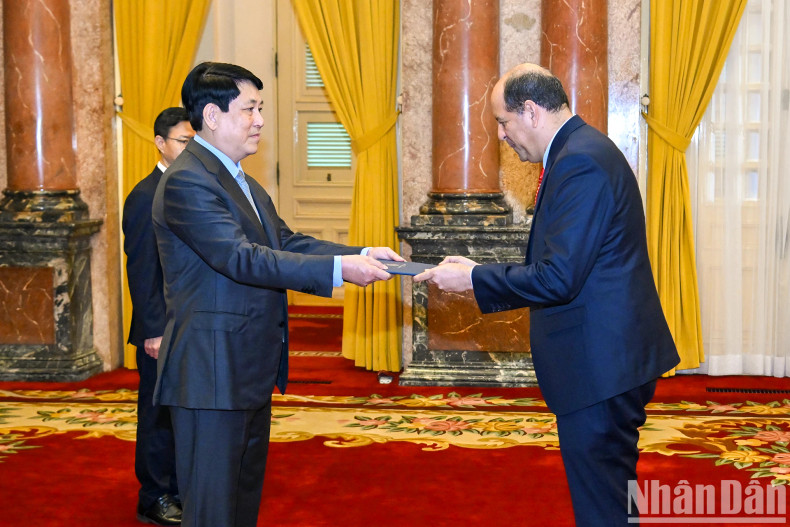 [In Pictures] State President welcomes new foreign ambassadors ảnh 3
