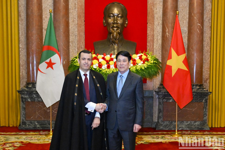 [In Pictures] State President welcomes new foreign ambassadors ảnh 5