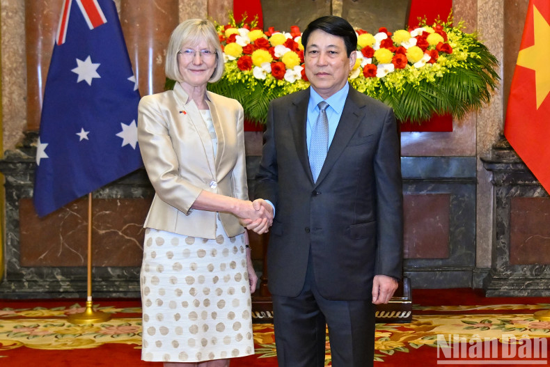 [In Pictures] State President welcomes new foreign ambassadors ảnh 2