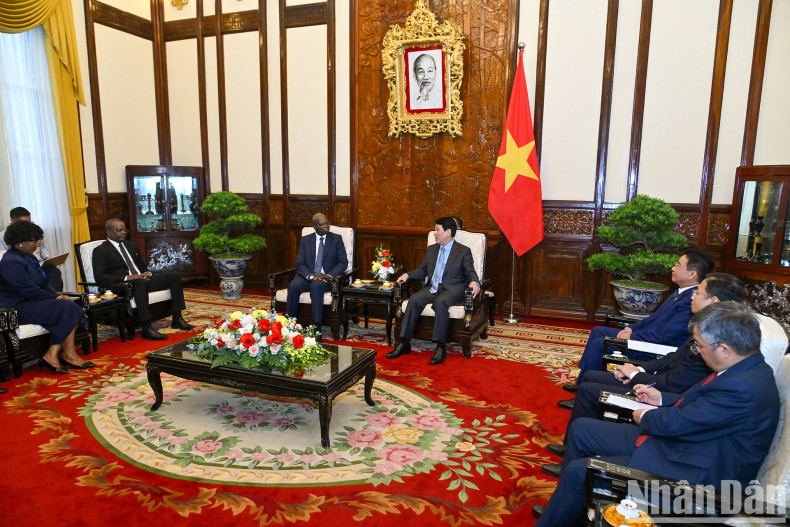 [In Pictures] State President welcomes new foreign ambassadors ảnh 8