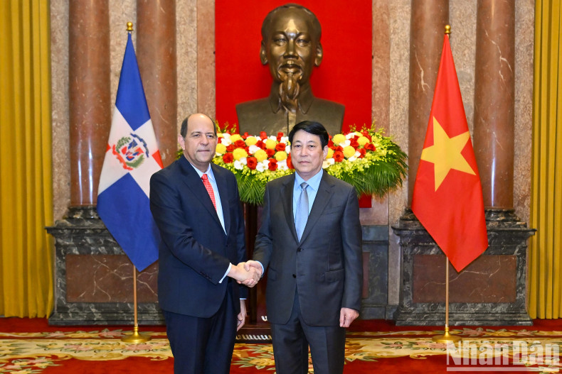 [In Pictures] State President welcomes new foreign ambassadors ảnh 4