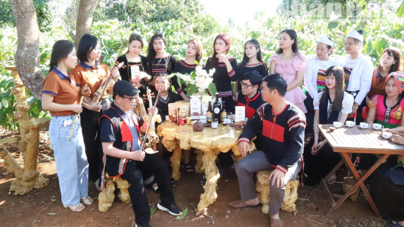 The activities of visiting, experiencing and enjoying coffee among the vast scent of coffee flowers excite tourists. The activities of visiting, experiencing and enjoying coffee among the vast scent of coffee flowers excite tourists.