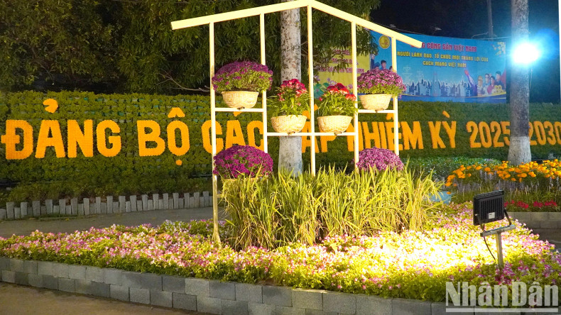 The small scene is located near the People’s Committee of Dong Thap Province. The small scene is located near the People’s Committee of Dong Thap Province.