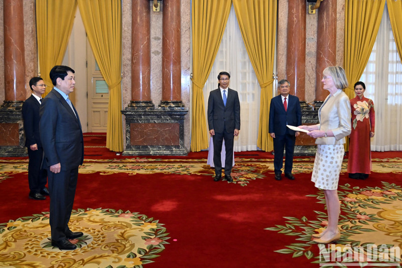 [In Pictures] State President welcomes new foreign ambassadors ảnh 1