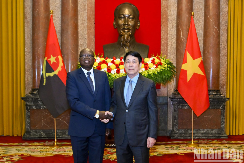 [In Pictures] State President welcomes new foreign ambassadors ảnh 7