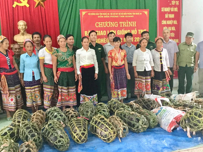 Tam Quang Border Guard Station helps people breed pigs. Tam Quang Border Guard Station helps people breed pigs.