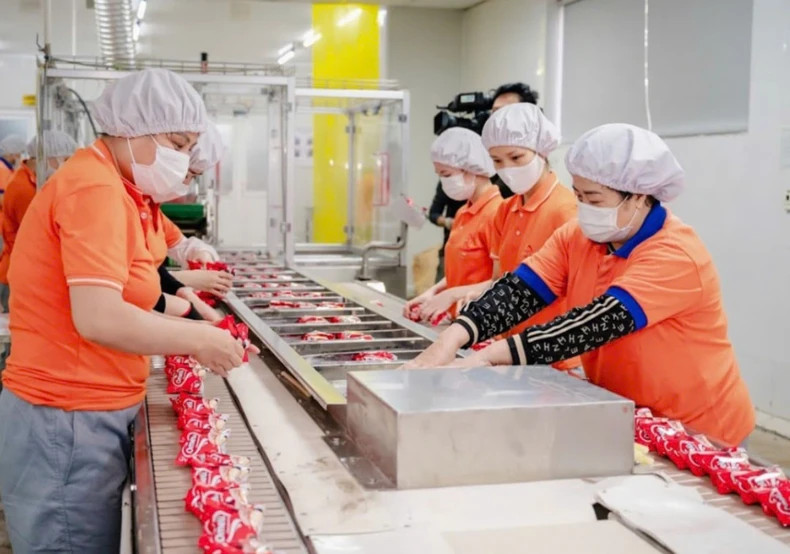 Modern confectionery production line of Bao Hung International Joint Stock Company (Vu Thu District, Thai Binh Province). (Photo: MAI TU)