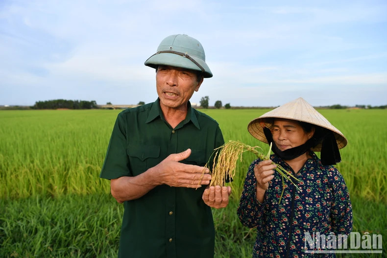 Nguyet’s family has changed their lives thanks to growing organic rice.