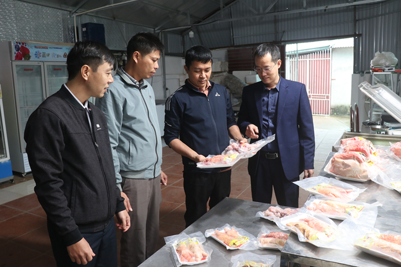 Dong Tao chicken products of Dong Tao Chicken Breeding and Trading Cooperative are recognised as OCOP products.