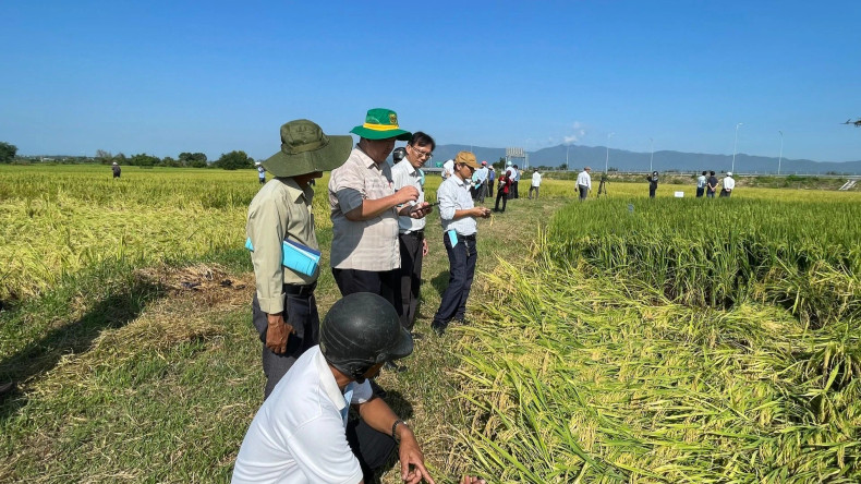 With land, ethnic minorities will increase production.