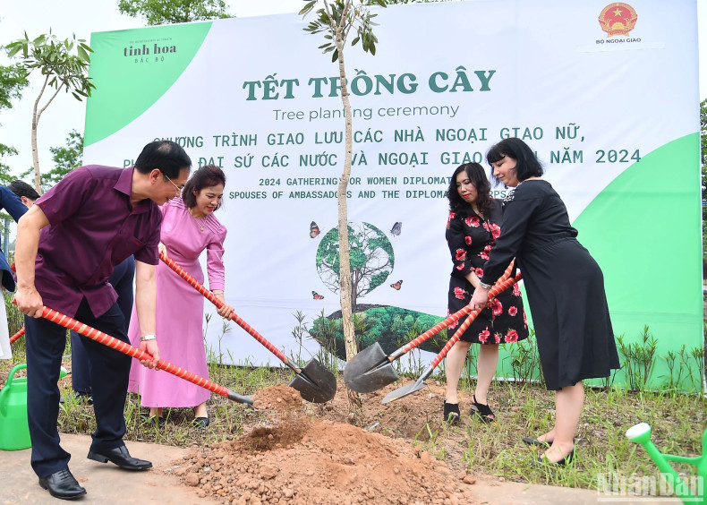Minister of Foreign Affairs Bui Thanh Son and his spouse Vu Thi Bich Ngoc, Deputy Foreign Minister Le Thi Thu Hang, and Romanian Ambassador to Vietnam Cristina Romila perform a tree planting ceremony at the event. Minister of Foreign Affairs Bui Thanh Son and his spouse Vu Thi Bich Ngoc, Deputy Foreign Minister Le Thi Thu Hang, and Romanian Ambassador to Vietnam Cristina Romila perform a tree planting ceremony at the event.