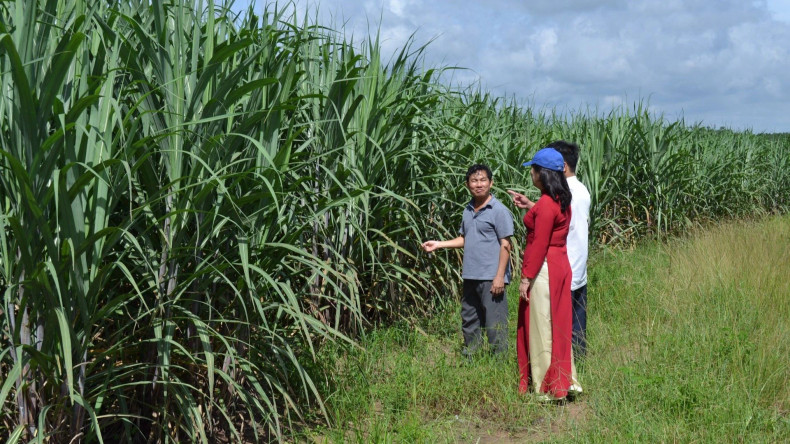 People stabilise production when there is a policy.