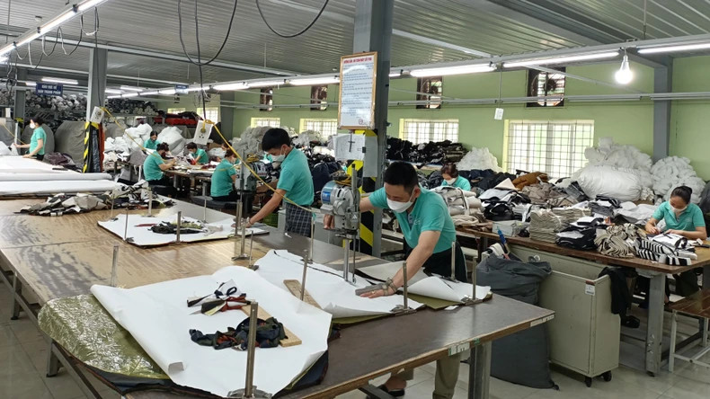 Cutting product samples at Nam Dinh Textile and Garment Joint Stock Corporation. Cutting product samples at Nam Dinh Textile and Garment Joint Stock Corporation.