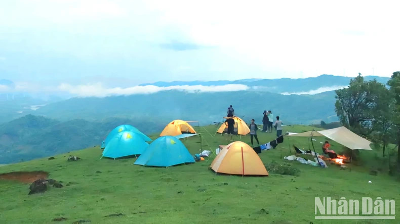 Tourists camp on the beautiful grass hill of Xa Reng. Tourists camp on the beautiful grass hill of Xa Reng.