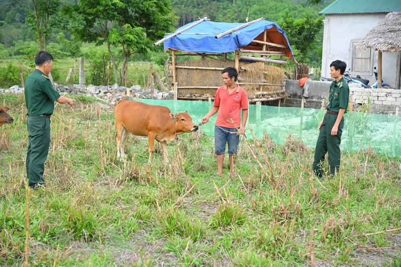 Officers of the Mon Son Border Guard Station regularly support Mr Le Van Nhuan’s family in taking care of the supported pigs. Officers of the Mon Son Border Guard Station regularly support Mr Le Van Nhuan’s family in taking care of the supported pigs.