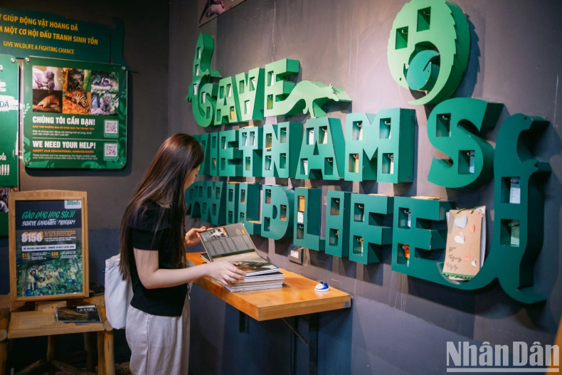 Even though this night tour does not have magical 3D mapping lights or modern speakers, there are sparkling “flying stars” there and all the different sounds have merged to become “a piece of music” of the forest.