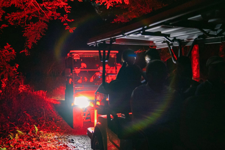 Cuc Phuong National Park has long been famous as an eco-tourism area for nature lovers.