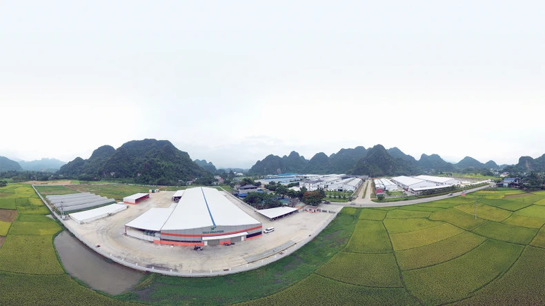 Phuc Ung Industrial Cluster (Son Duong) has an occupancy rate of 96%. Phuc Ung Industrial Cluster (Son Duong) has an occupancy rate of 96%.