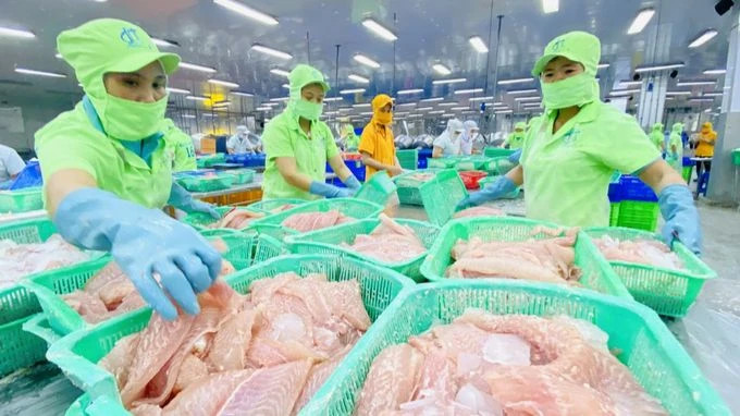 Vietnamese seafood is now present in more than 170 countries and territories. (Photo: Nongnghiep.vn)