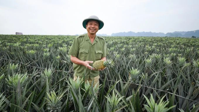 Fruits and vegetables are a strong product of Vietnam, currently present in more than 60 markets. (Photo: Nongnghiep.vn)