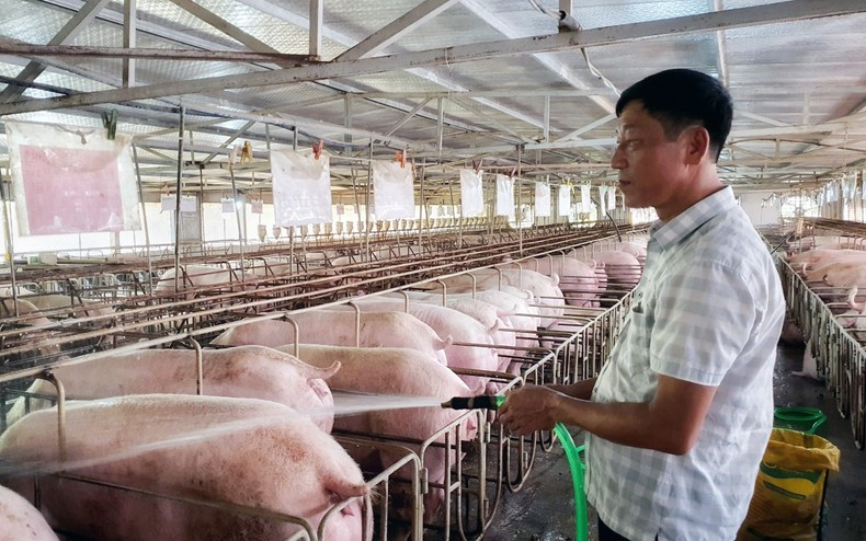 Bui Quang Hieu and his family from Tien Kien Commune, Lam Thao District, Phu Tho Province, develop their business from Agribank’s loan.
