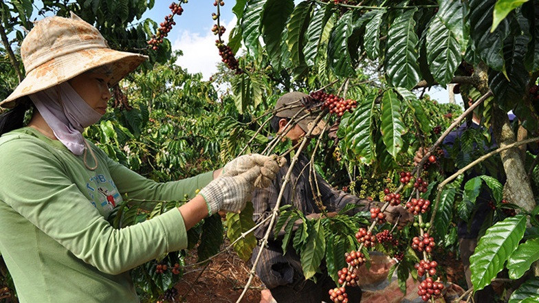Not many Vietnamese products have brands in the CPTPP market.