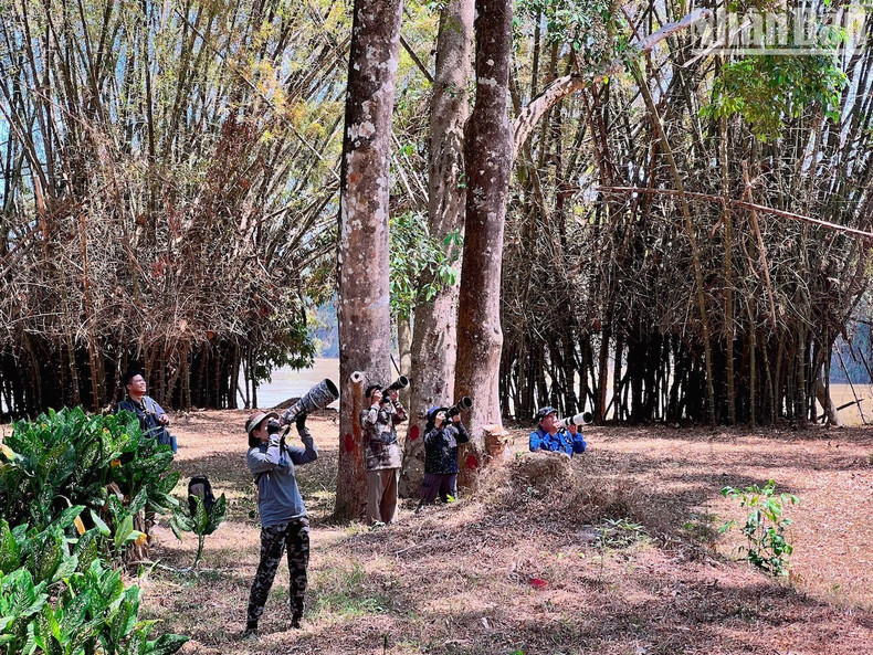 With more than 350 species of birds, accounting for nearly 50% of all bird species in Vietnam, Cat Tien National Park is also a “mecca” for passionate bird photographers and ornithologists, around the world.