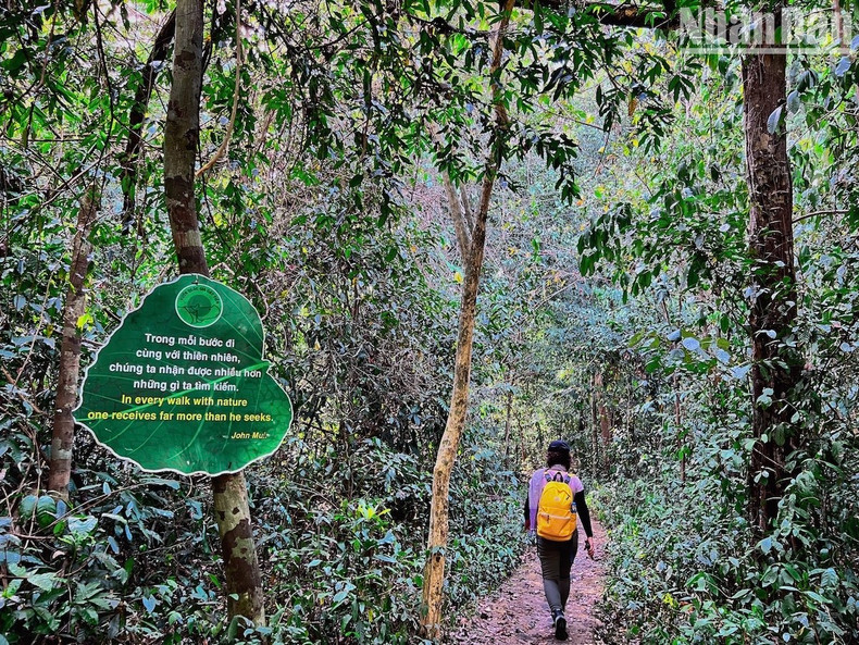 In many places throughout the forest, the Management Board put up signboards with quotes about the love of nature and the sense of forest protection.
