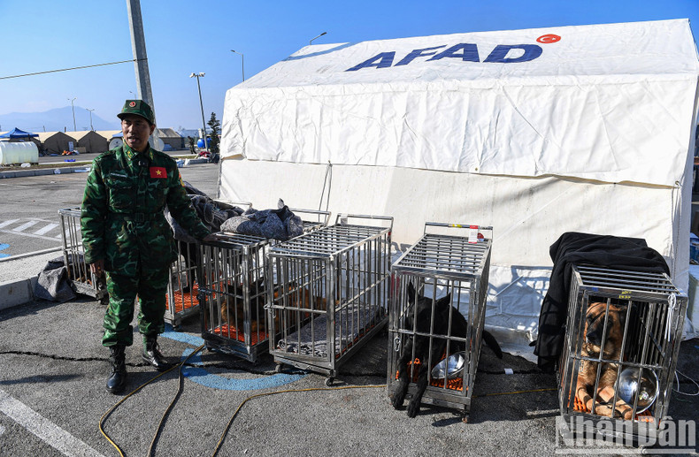 The “dog's house” is also arranged in a special position away from the wind. The “dog's house” is also arranged in a special position away from the wind.