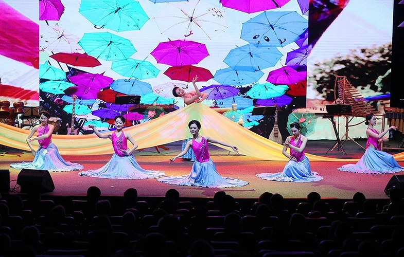 A performance is staged at the art programme named “Colours of Vietnam” in Brazil. (Photo: Duong Giang)