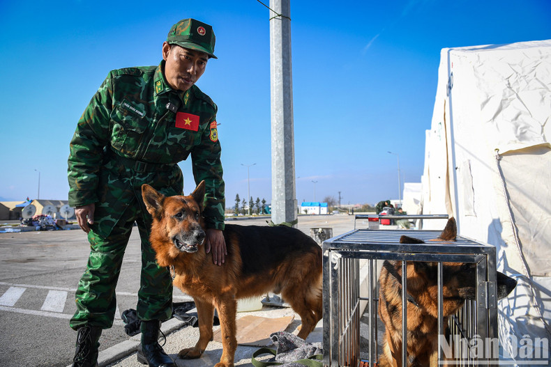 On his last day in Hatay, Pocka enjoys the privilege of...not being locked in a cage. On his last day in Hatay, Pocka enjoys the privilege of...not being locked in a cage.