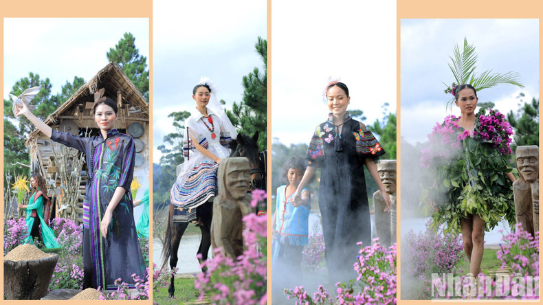 Brocade fashion art is a connection between traditional and modern values, vividly designed by creators to suit fashion trends.