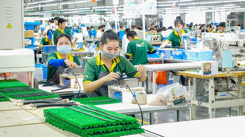 Exporting enterprises determine to diversify products. Exporting enterprises determine to diversify products.