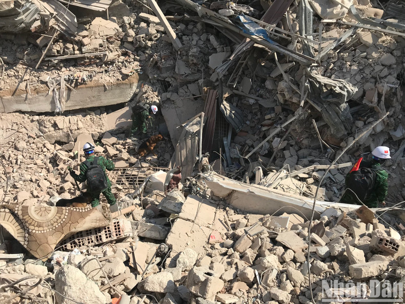 Service dogs search for victims of the earthquake in Hatay (Turkey). Service dogs search for victims of the earthquake in Hatay (Turkey).