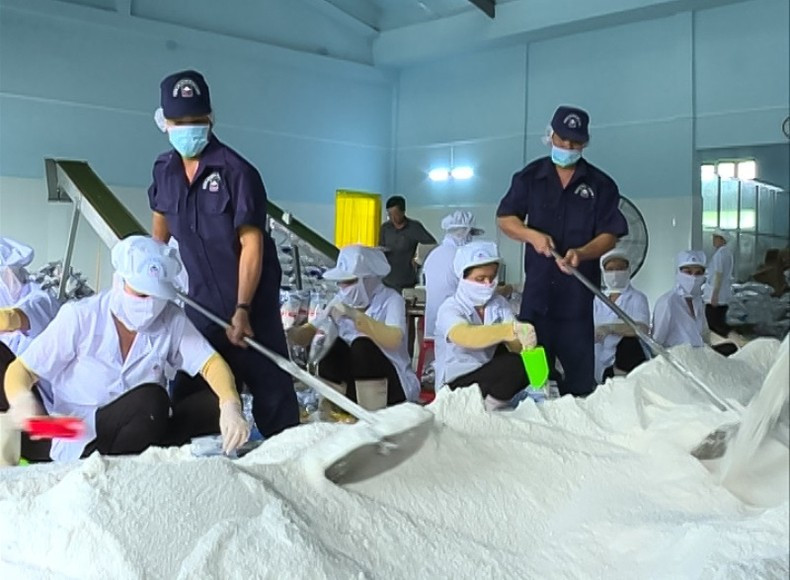 High quality export salt processing factory in Bac Lieu.