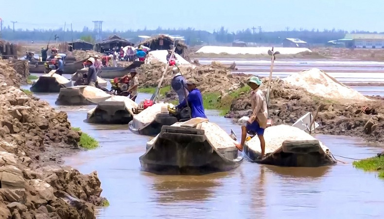 Tradesmen purchase salt in Dien Hai Commune, Dong Hai District.