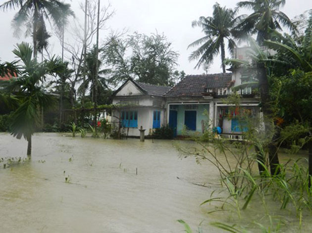 Storm Damrey leaves 37 people dead and missing ảnh 8