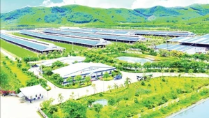 The “Vinamilk Green Farm” eco-farm model according to a sustainable, low-emission agricultural orientation. (Photo: THAI HA)