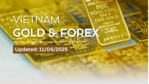 SJC gold bar price increases to nearly 119 million VND/tael on June 11