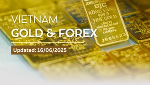 SJC gold bars anchor at 119.6 million VND/tael