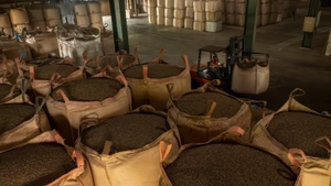 Vietnamese coffee has many opportunities to export to the Thai market. (Photo: NDO)