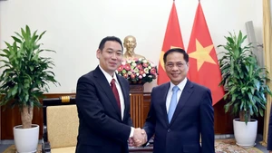 Deputy Prime Minister and Minister of Foreign Affairs Bui Thanh Son (R) and his Japanese guest Tanaka Yu (Photo: Ministry of Foreign Affairs)