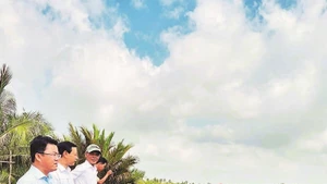 A highly effective ST25 rice–shrimp farming model of many households in Ninh Thanh Loi Commune (Ca Mau).