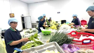 A clean vegetable production cooperative in Ha Noi. (Photo: NDO)