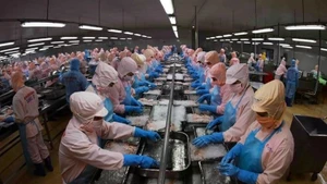 Illustrative image (Photo: VNA)